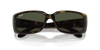 [Green Lenses, Polished Havana Frame]