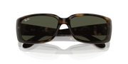 Green Lenses, Polished Havana Frame