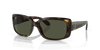 [Green Lenses, Polished Havana Frame]