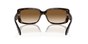 Clear Brown Lenses, Polished Havana Frame