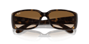 Clear Brown Lenses, Polished Havana Frame