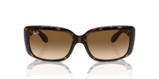 Clear Brown Lenses, Polished Havana Frame