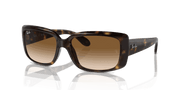 Clear Brown Lenses, Polished Havana Frame