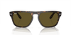 [Dark Brown Lenses, Polished Havana Frame]