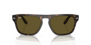 Dark Brown Lenses, Polished Havana Frame