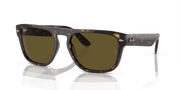 Dark Brown Lenses, Polished Havana Frame