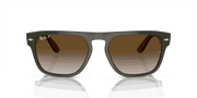 Brown Lenses, Polished Green & Dark Grey & Transparent Brown Frame