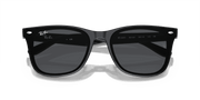 Dark Grey Lenses, Polished Black Frame