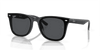 [Dark Grey Lenses, Polished Black Frame]