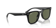 Dark Green Lenses, Polished Black Frame