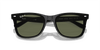 [Dark Green Lenses, Polished Black Frame]