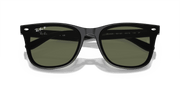 Dark Green Lenses, Polished Black Frame