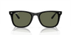 [Dark Green Lenses, Polished Black Frame]