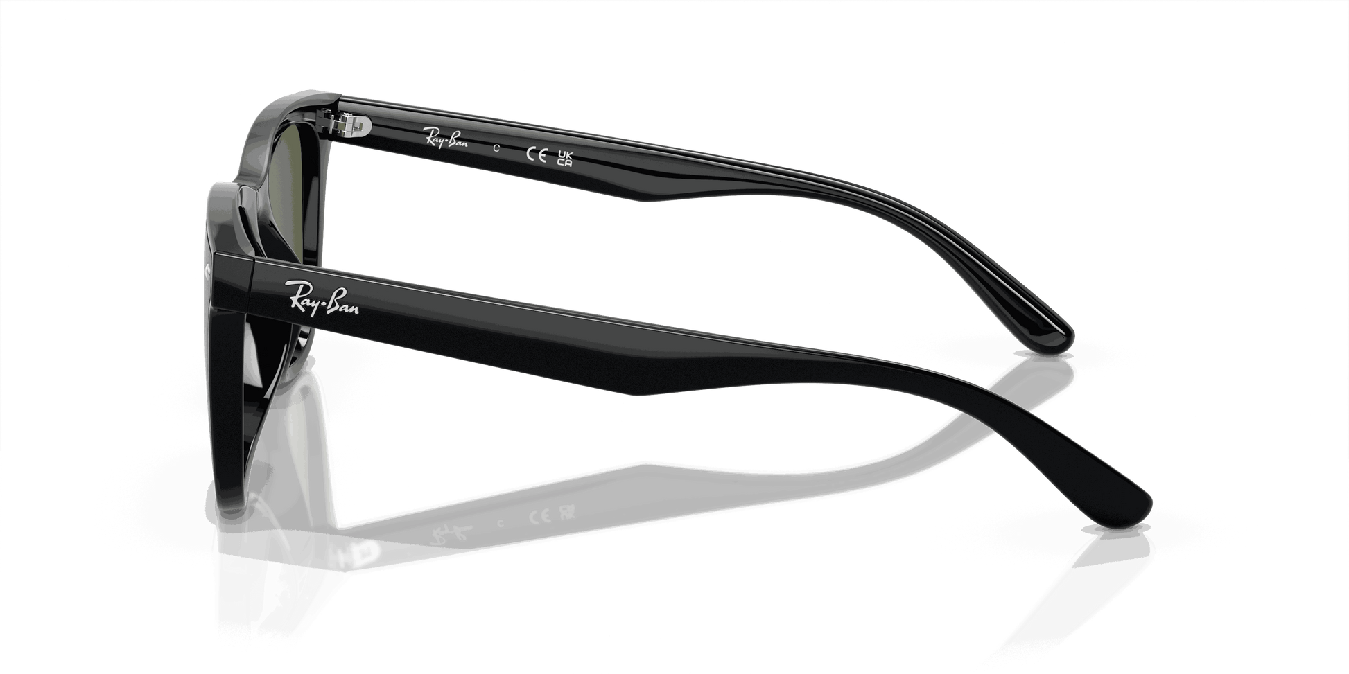 [Dark Green Lenses, Polished Black Frame]