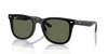 [Dark Green Lenses, Polished Black Frame]