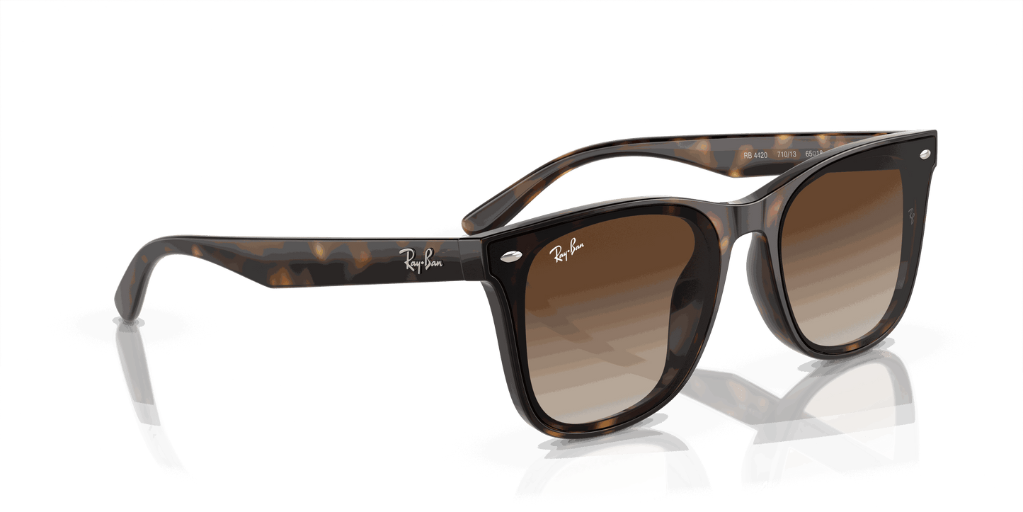 [Brown Lenses, Polished Havana Frame]