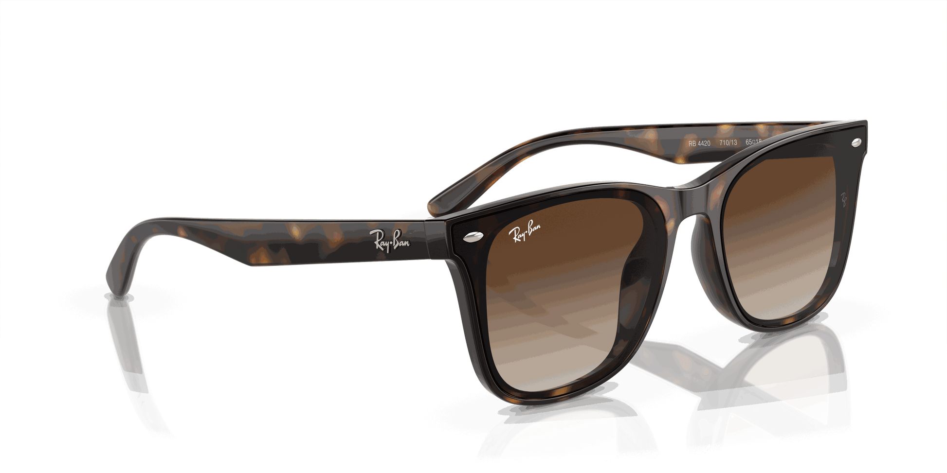 [Brown Lenses, Polished Havana Frame]