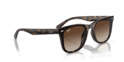 Brown Lenses, Polished Havana Frame