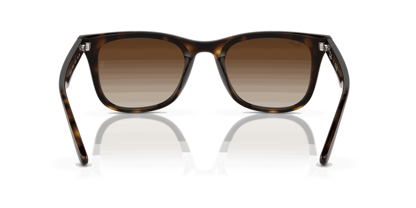 [Brown Lenses, Polished Havana Frame]