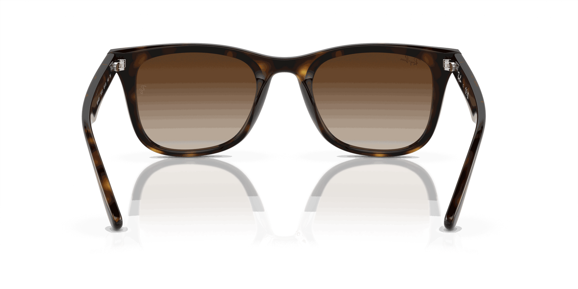[Brown Lenses, Polished Havana Frame]