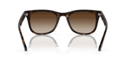 Brown Lenses, Polished Havana Frame