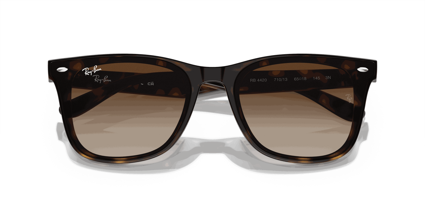 [Brown Lenses, Polished Havana Frame]