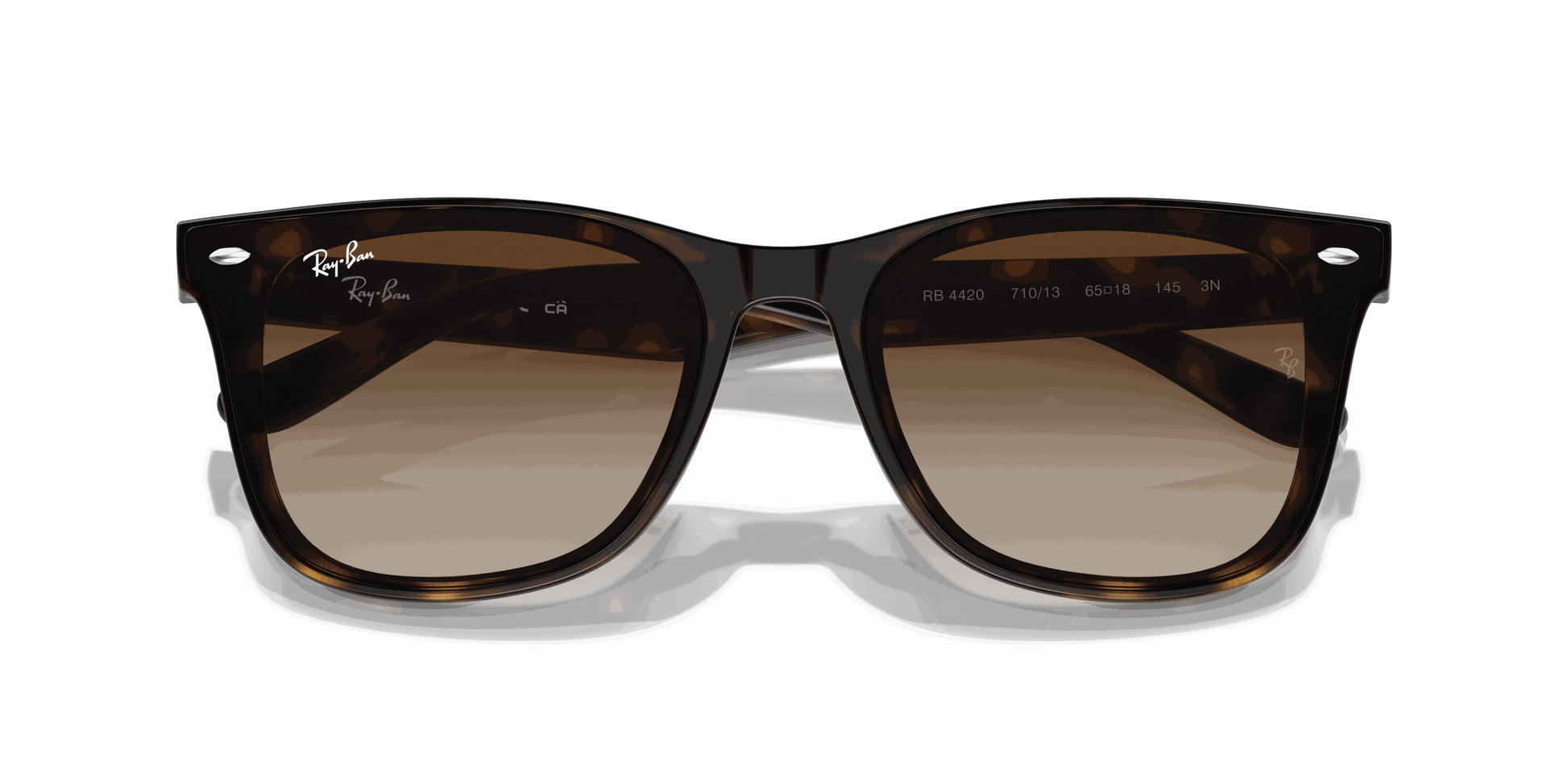 [Brown Lenses, Polished Havana Frame]