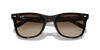 [Brown Lenses, Polished Havana Frame]