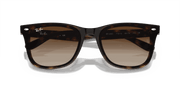 Brown Lenses, Polished Havana Frame