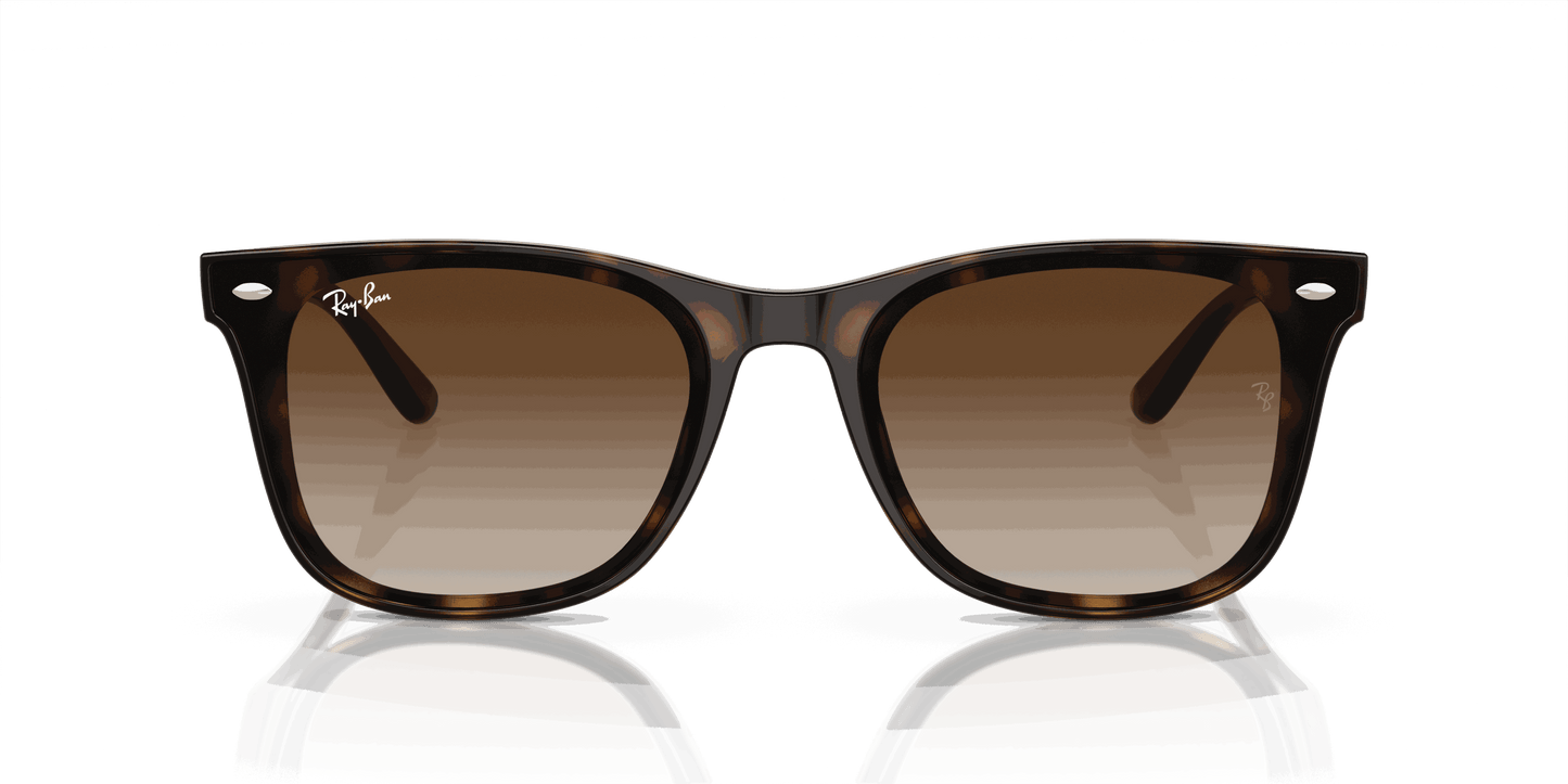 [Brown Lenses, Polished Havana Frame]