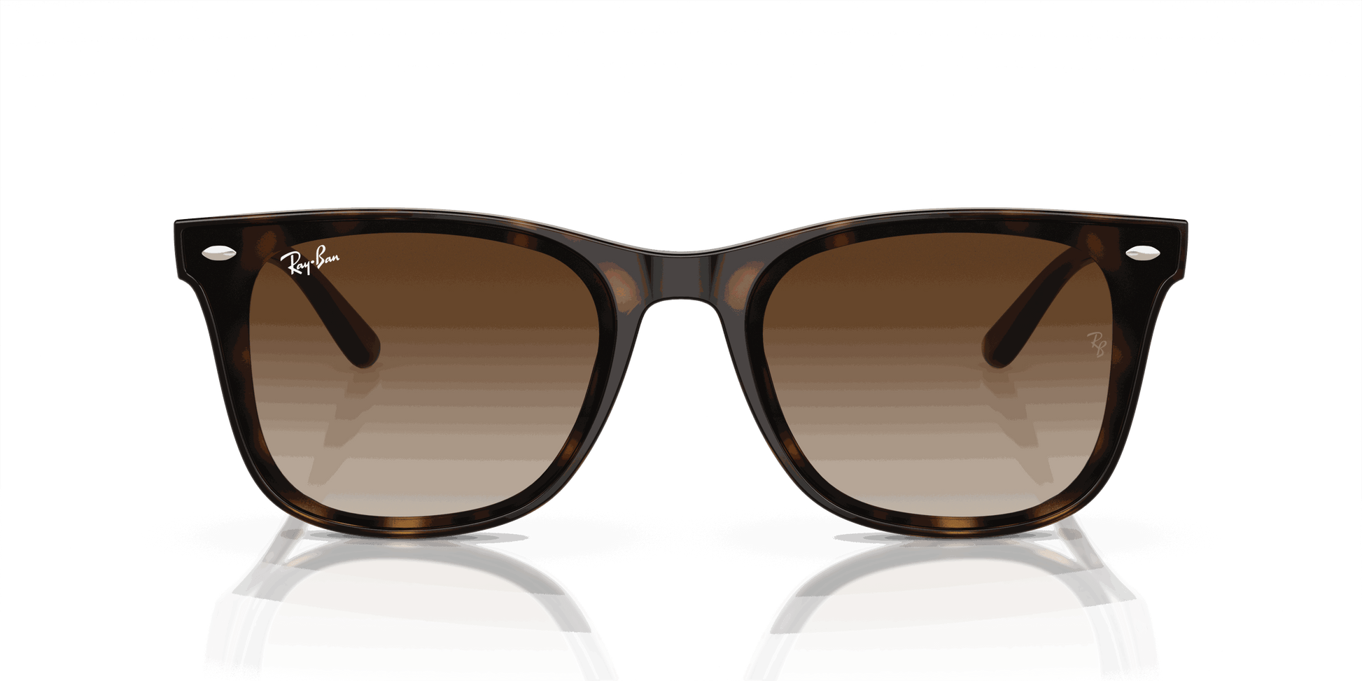 [Brown Lenses, Polished Havana Frame]