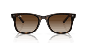 Brown Lenses, Polished Havana Frame