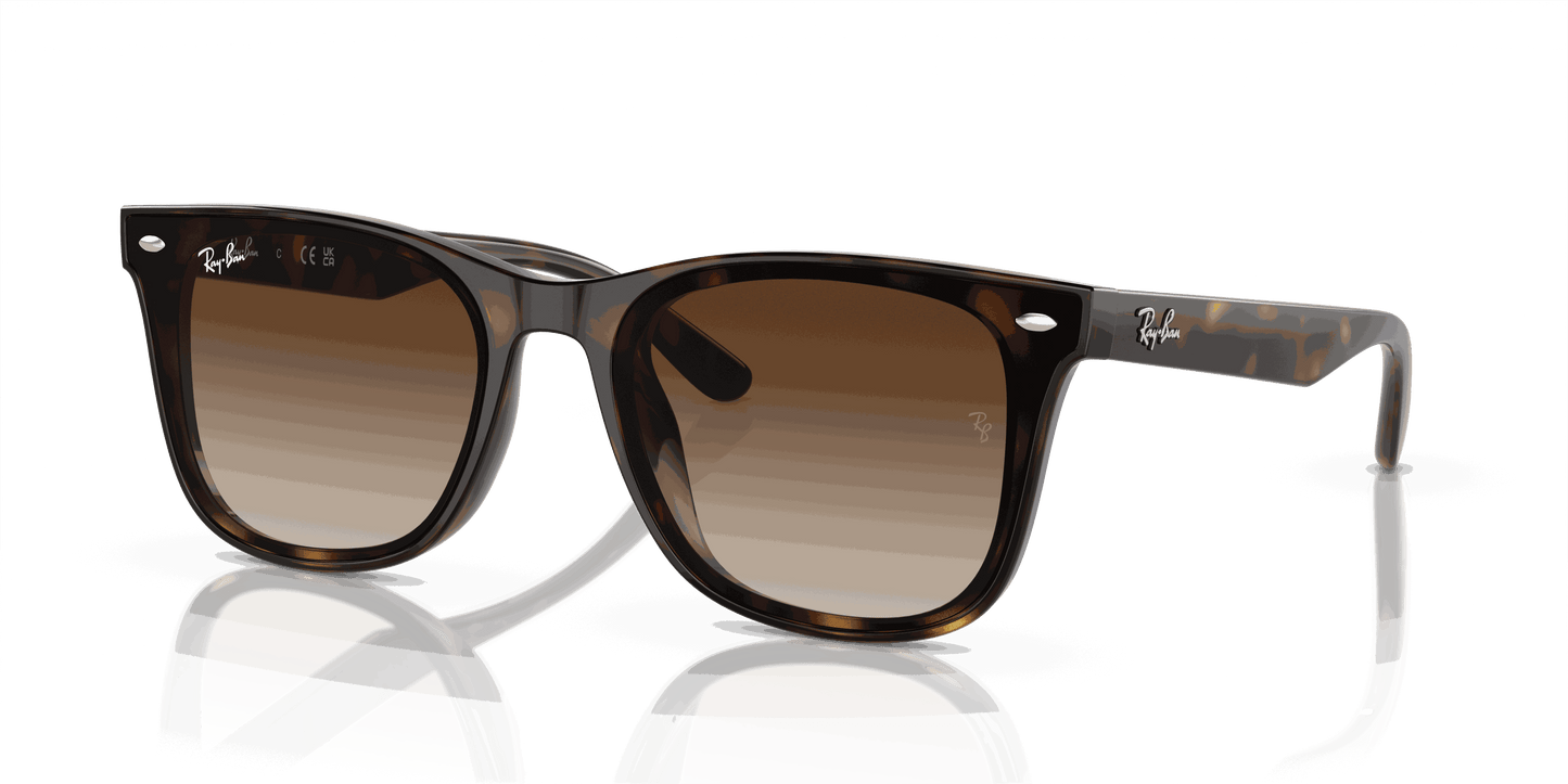 [Brown Lenses, Polished Havana Frame]