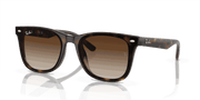 Brown Lenses, Polished Havana Frame