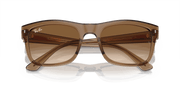 Clear/Brown Lenses, Polished Transparent Light Brown Frame