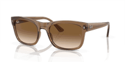 Clear/Brown Lenses, Polished Transparent Light Brown Frame