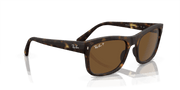 Brown Lenses, Matte Havana Frame