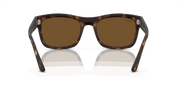 Brown Lenses, Matte Havana Frame