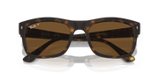 Brown Lenses, Matte Havana Frame