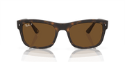 Brown Lenses, Matte Havana Frame