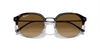 [Brown Lenses, Polished Havana On Gunmetal Frame]