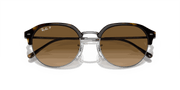 Brown Lenses, Polished Havana On Gunmetal Frame