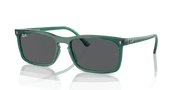 Dark Grey Lenses, Polished Transparent Green Frame