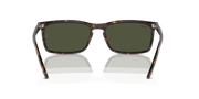 Green Lenses, Polished Havana Frame