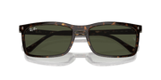 Green Lenses, Polished Havana Frame