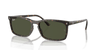 [Green Lenses, Polished Havana Frame]