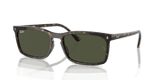 Green Lenses, Polished Havana Frame