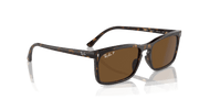 Brown Lenses, Polished Havana Frame