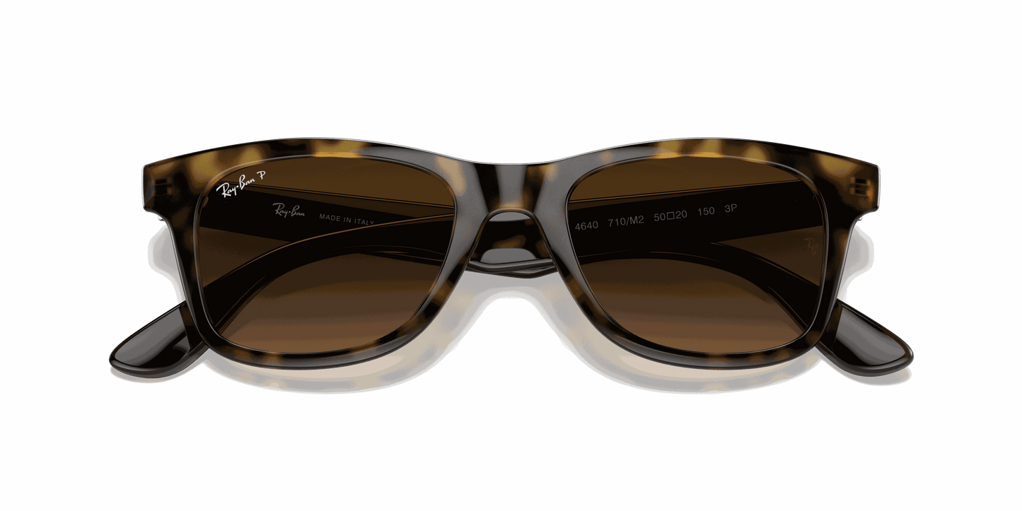 [Brown Lenses, Polished Light Havana Frame]