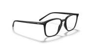 Clear Lenses, Polished Black Frame